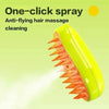 PetsWin™ Steam Pet Brush