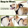 PetsWin™ No-Pull Dog Harness